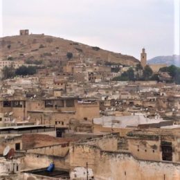 Fes View over the Medina