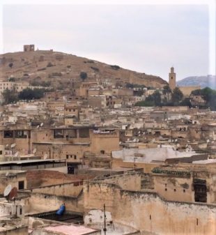 Fes and Fava: A Great Moroccan Experience