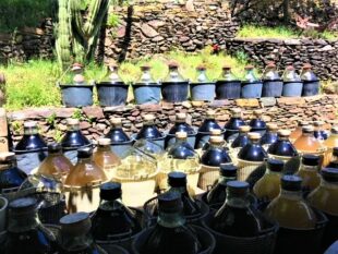 La Guinelle Vinegar – A Beautiful Place to Visit