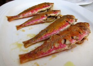 Foodtourist – Our exciting food and drink experiences