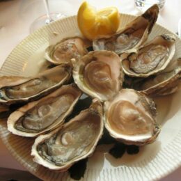 Le Coquillage