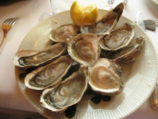 Le Coquillage – Indulgent fresh seafood